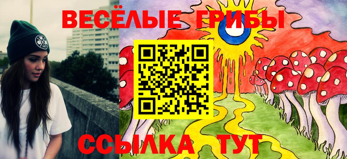 купить наркотики сайты  Псилоцибиновые грибы мухоморы  Вход с VPN  Галлюциногенные грибы мицелий  Ревда 